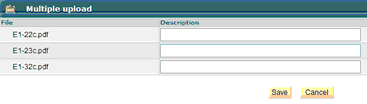 Final screen for Multi Upload